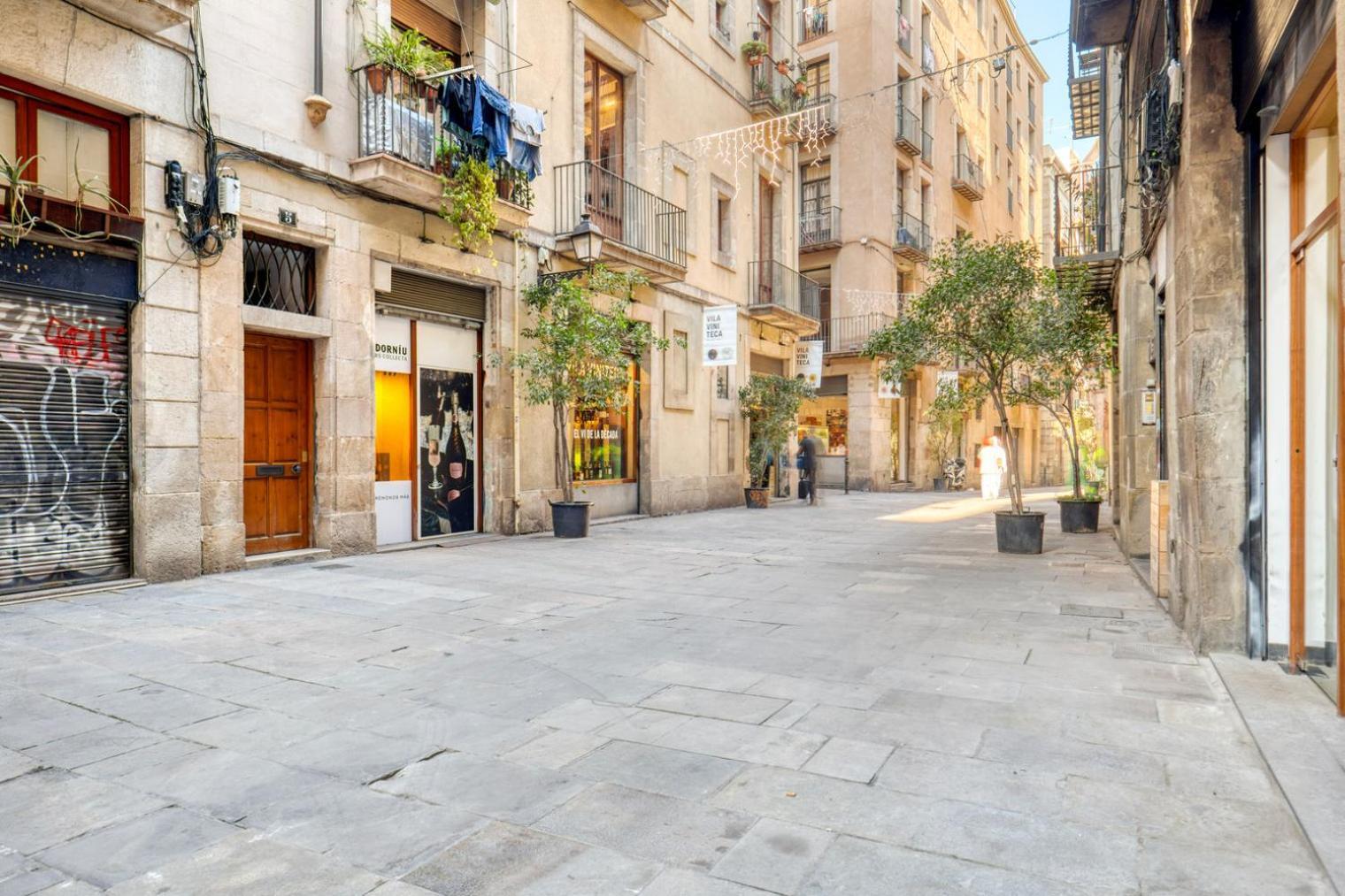 Appartement Renovated El Born 2br Nr Port Vell Bcn-59 *